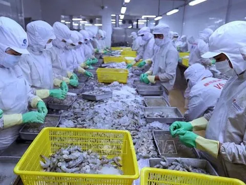 Kinh tế 2022 - 2023: Xuất khẩu vững chắc với thế 'chân kiềng'
