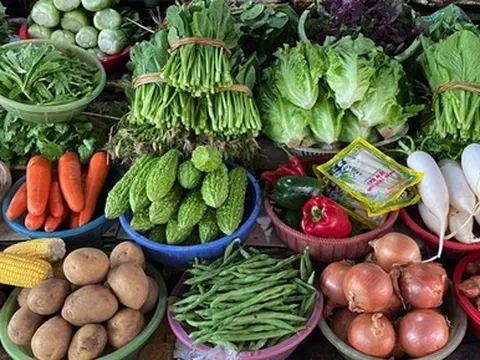 Rau xanh tăng giá chóng mặt: Lẩu rau ngày rét trở thành món "xa xỉ"