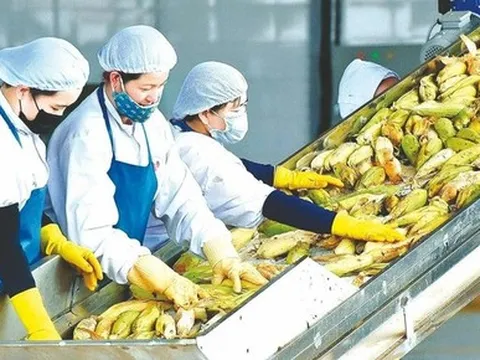 Xuất khẩu nông sản đạt kỷ lục hơn 53 tỷ USD
