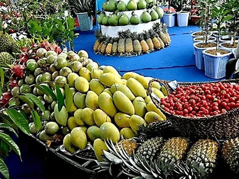 Mở lối cho trái cây đồng bằng sông Cửu Long phát triển bền vững