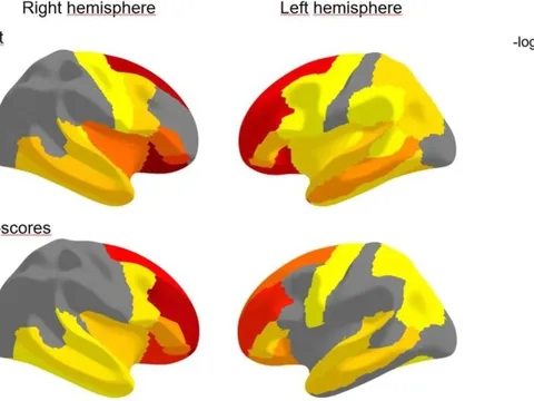 Nghiên cứu giật mình từ Mỹ: Sai lầm này khiến 20% trẻ em bị ảnh hưởng não bộ