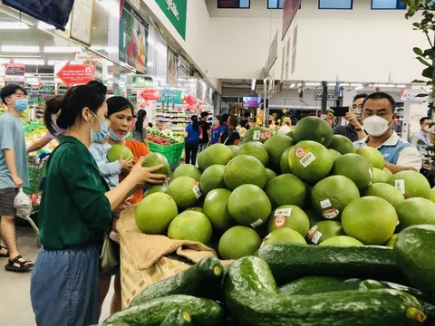 Bưởi Tết nhiều khả năng có bất ngờ về giá