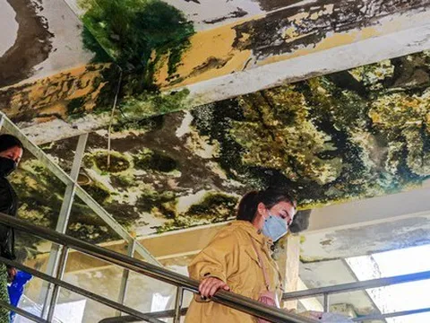 Đà Nẵng: Trung tâm y tế xuống cấp, nước chảy trên đầu bệnh nhân và bác sĩ