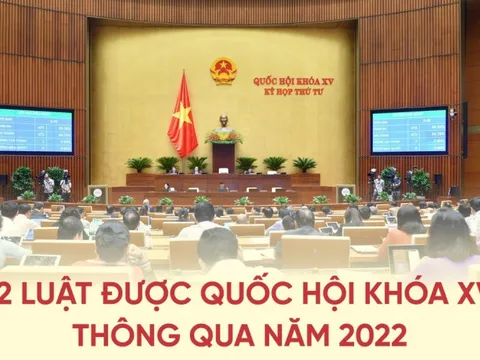 12 luật được Quốc hội khóa XV thông qua năm 2022