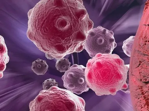 Những phát hiện đột phá trong nghiên cứu chống ung thư năm 2022