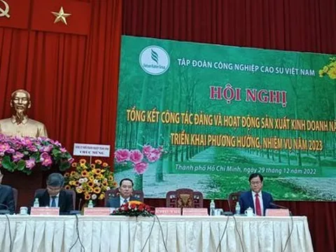 Tập đoàn cao su nộp ngân sách 4.000 tỉ đồng