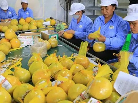 Xuất khẩu nông sản bứt phá trong năm 2022