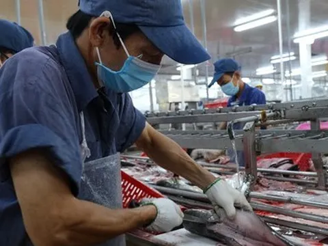Xuất khẩu nông sản thắng lớn, năm 2023: Hướng đến mục tiêu 54 tỷ USD