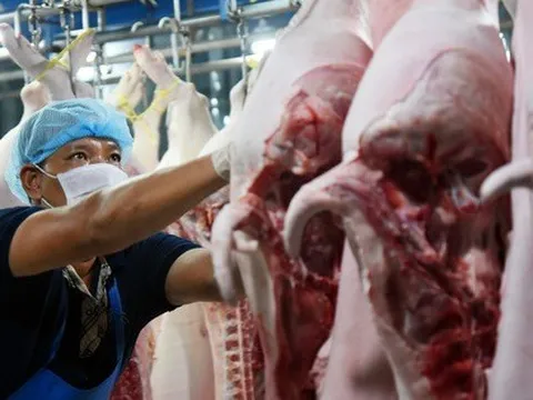 Người chăn nuôi lo mất Tết