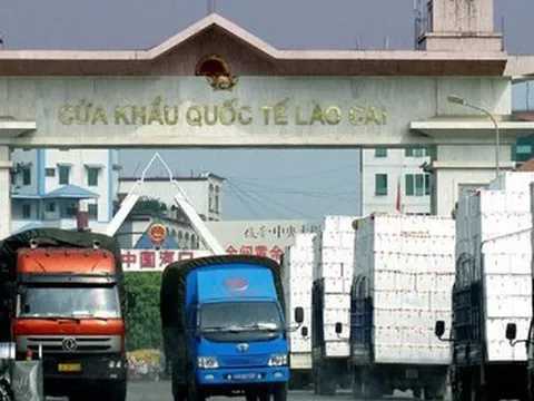 Nông sản Việt Nam xuất khẩu sang Trung Quốc dự báo ‘bùng nổ’