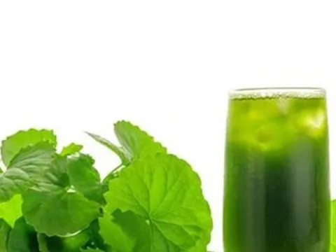 Loại rau vị đắng mọc dại, chẳng mấy ai thích ăn, giúp giảm nguy cơ bị ung thư