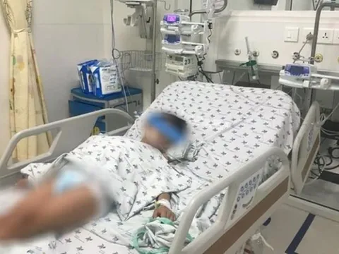 Bình Thuận: Cứu bé trai 11 tuổi nguy kịch vì sốc sốt xuất huyết dengue