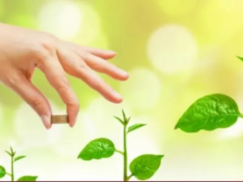 Chuyên gia chỉ cách xuống tiền đầu tư trong năm 2023