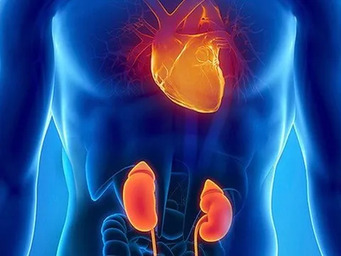 Nguy cơ khi uống nước tăng lực thường xuyên?