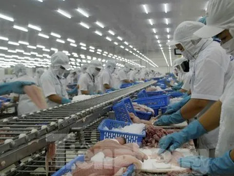 Mỹ, Trung Quốc 'soán ngôi' nhập khẩu thủy sản Việt Nam