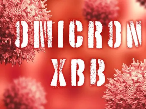 Biến thể phụ XBB của Omicron mới được phát hiện tại TP HCM có nguy hiểm?