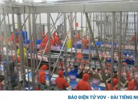 Nhiều thách thức đối với cộng đồng doanh nghiệp trong năm 2023