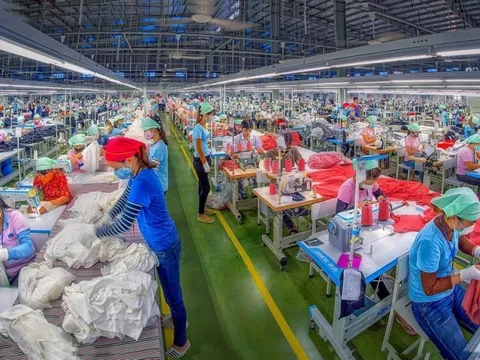 Tp.Đà Nẵng thu hút 25 dự án tổng vốn 233 triệu USD vào khu công nghiệp