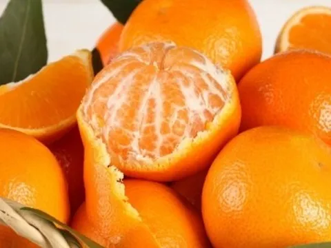 Những thực phẩm giúp bổ sung nước cho cơ thể sau khi ốm dậy