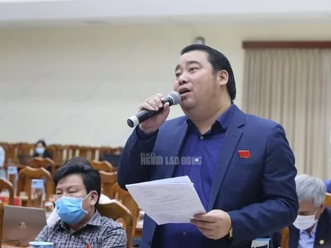 Ông Nguyễn Viết Dũng xin thôi làm đại biểu HĐND Quảng Nam "vì lý do sức khỏe"