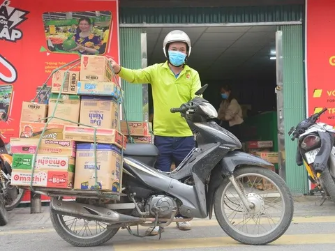 Bưởi hút hàng, tăng giá sớm