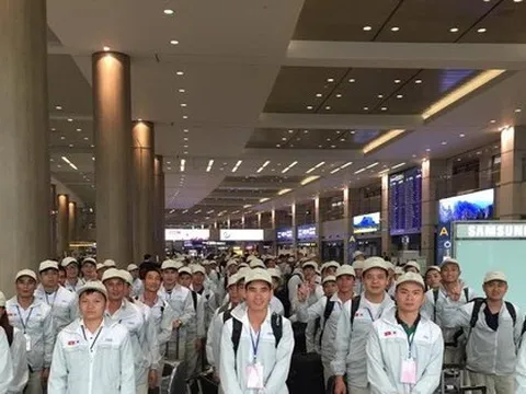 Mở cửa trở lại, lao động Việt ra nước ngoài tăng đột biến