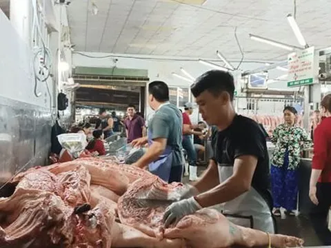 Thị trường heo Tết ảm đạm