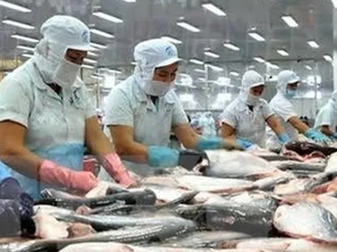 Cá tra Việt Nam đã chinh phục hơn 140 thị trường