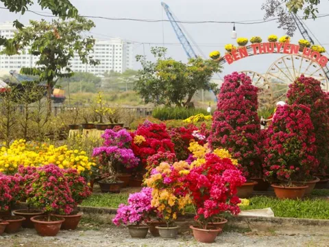 Khởi động chợ hoa xuân Bình Điền 2023