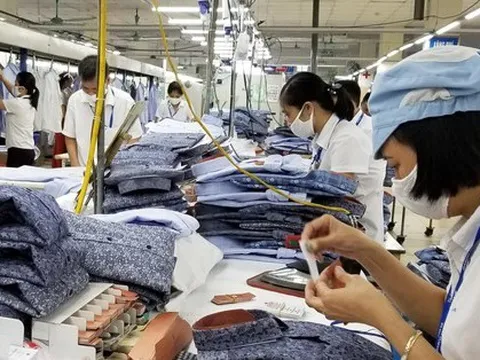 Lao động bị mất việc: Hỗ trợ cách nào?