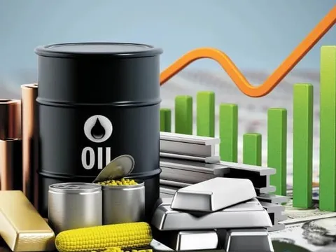 Công bố Top 5 thị phần môi giới hàng hóa tại Việt Nam trong năm 2022