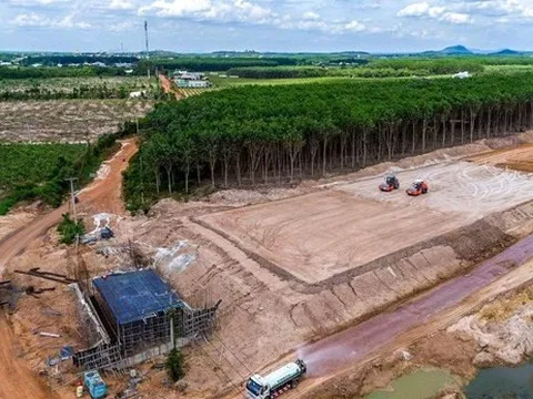 Nền kinh tế tiếp tục ‘vượt bão’