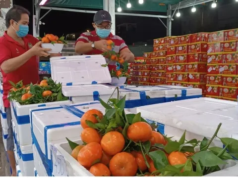 Nhiều loại trái cây tăng giá trước ngày đưa ông Táo