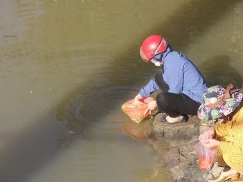 Thuyền chờ trực vớt cá vàng ngày cúng ông Công, ông Táo gây bức xúc