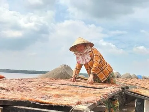 Đặc sản cá khô của “xứ biển Gành Hào” đắt khách dịp Tết 2023
