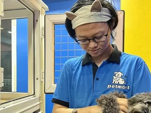 Dịch vụ trông giữ, làm đẹp thú cưng vào mùa