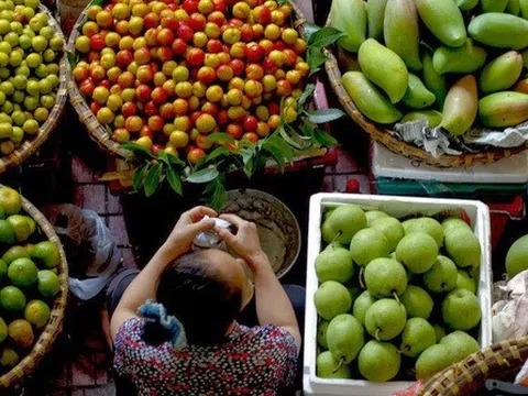 Nông sản Việt rộng đường sang Trung Quốc