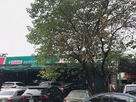 Người dùng tấp nập đưa ô tô đi bảo dưỡng dịp cận Tết