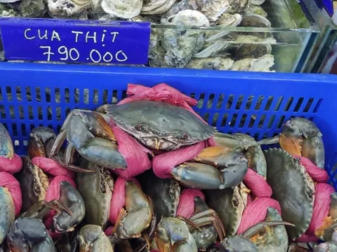 Tôm hùm, cua Cà Mau tăng giá kinh khủng