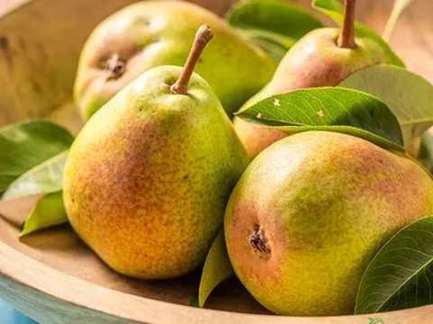 1 loại quả có tác dụng ức chế tế bào ung thư, ngừa bệnh tiểu đường mà người Nhật ăn nhiều