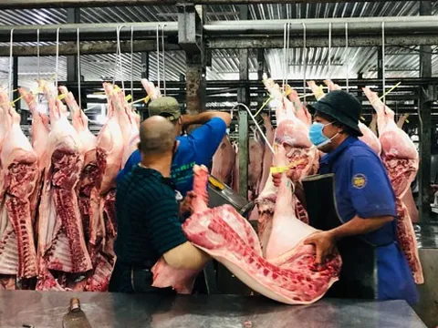 Hàng Tết các nơi ùn ùn đổ về TP HCM