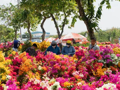 Thêm một chợ hoa Tết ở TP HCM mở cửa đón khách