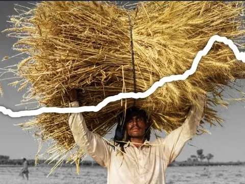 Có một ngành hàng đang trở thành 'vũ khí' tối thượng của Nga: EU phải miễn trừng phạt vì quá phụ thuộc, cung cấp cho nhiều quốc gia châu Á bao gồm cả Việt Nam