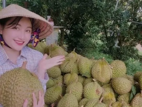 Cận Tết, giá sầu riêng cao nhất từ trước đến nay