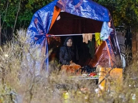 Tiểu thương trùm chăn dưới trời rét buốt, thấp thỏm trông cây cảnh qua đêm