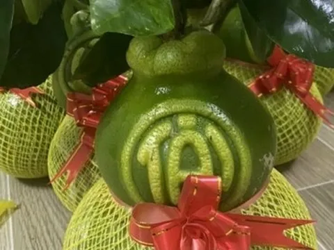 Bưởi tạo hình hồ lô có in chữ giá giảm so với Tết năm ngoái