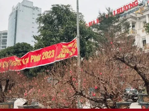 Đào, quất, mai, lan chưa hút khách, tiểu thương như ngồi trên lửa