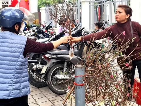 Chợ Tết 2023: Nhiều loại hoa, quả tăng giá từ 20% đến 50%