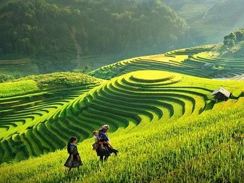 Không còn Tổng cục Du lịch, Thể dục thể thao