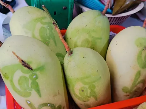 TP HCM: Trái cây Tết đổ về chợ, tiểu thương bán thâu đêm suốt sáng